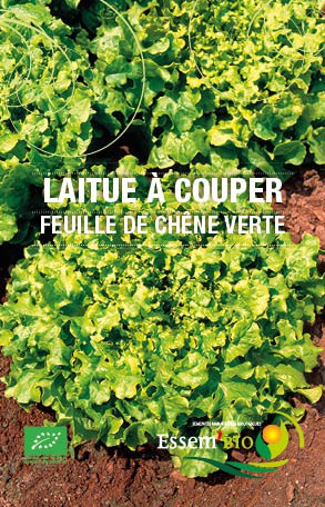 FEUILLE DE CHENE VERTE - BIO