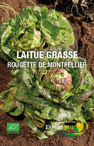 Semence Laitues grasses ROUGETTE DE MONTPELLIER - BIO