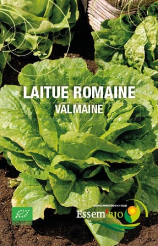 Semence Laitues romaines ROMAINE VALMAINE - BIO