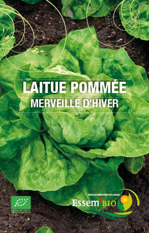 MERVEILLE D'HIVER - BIO