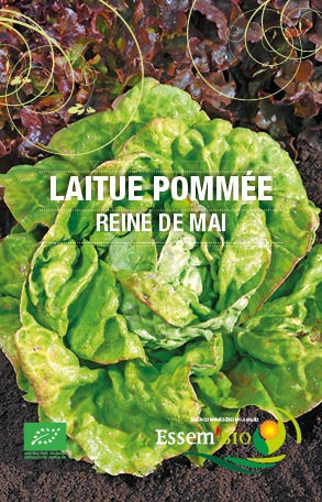 REINE DE MAI - BIO