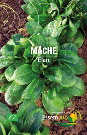 ELAN - BIO
