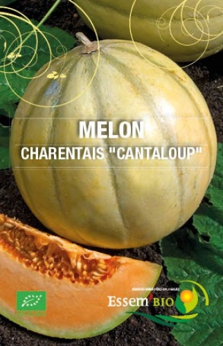 Semence Melons CHARENTAIS 