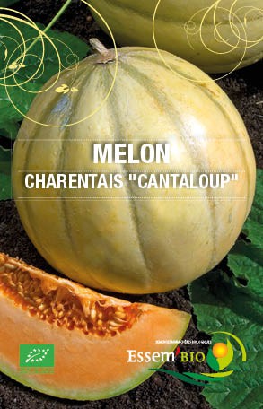 CHARENTAIS