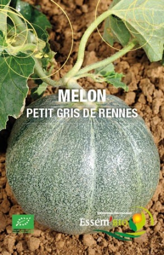 Semence Melons PETIT GRIS DE RENNES - BIO
