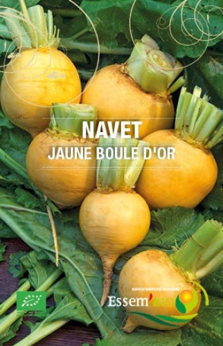 Semence Navets JAUNE BOULE D'OR - BIO