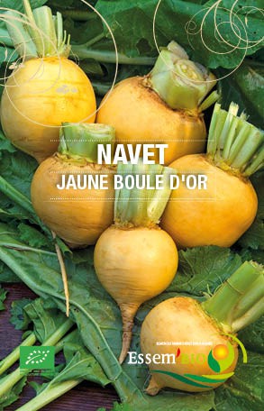 JAUNE BOULE D'OR - BIO