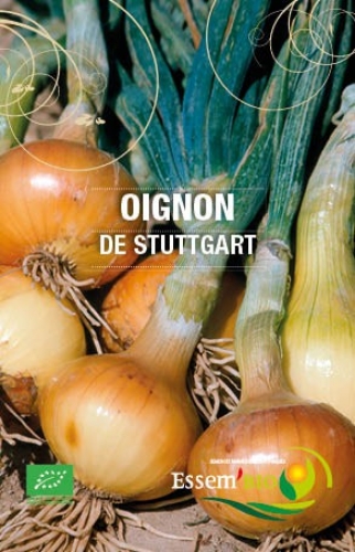 Semence Oignons DE STUTTGART - BIO