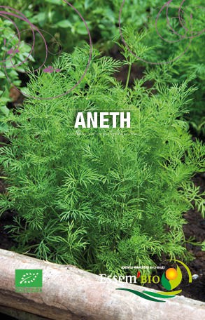 ANETH - BIO