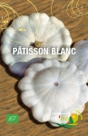 PATISSON BLANC - BIO