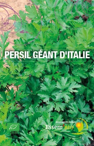 Persil Bio- Géant d'Italie - Botte de 100g - Fruits et Légumes