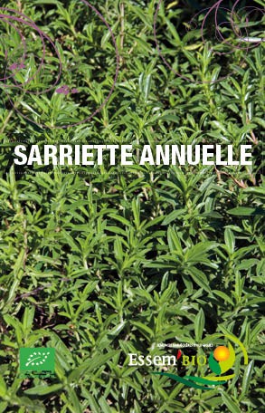 SARRIETTE ANNUELLE - BIO