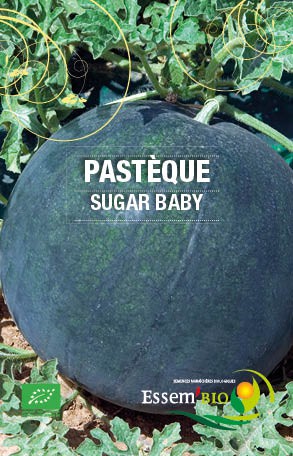 SUGAR BABY - BIO