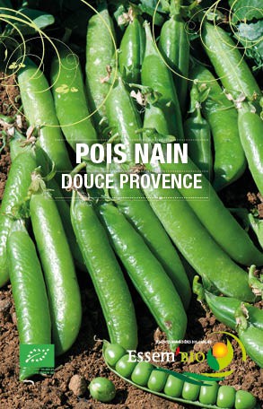POIS NAIN DOUCE PROVENCE - BIO