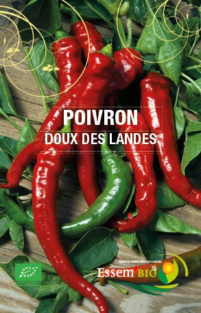 DOUX TRES LONG DES LANDES - BIO