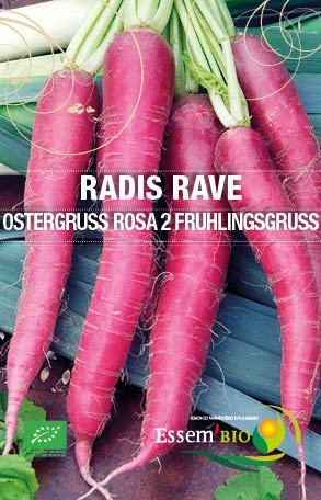 OSTERGRUSS ROSA 2 FRUHLINGSGRUSS - BIO