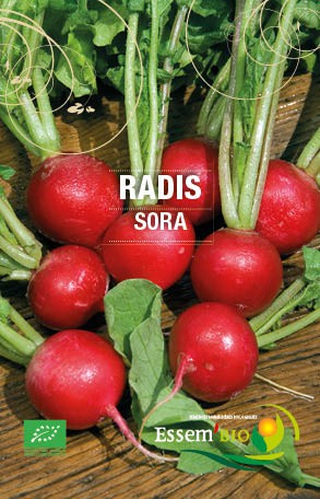 SORA - BIO