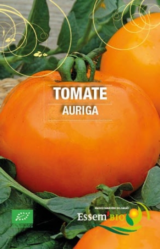 Semence Tomates AURIGA - BIO