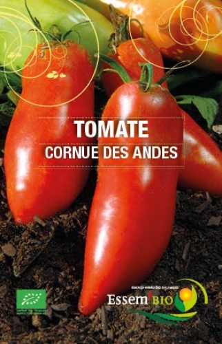 Semence Tomates CORNUE DES ANDES - BIO