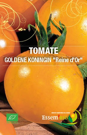 GOLDENE KÖNIGIN - BIO