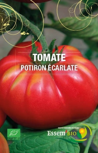 Semence Tomates POTIRON ECARLATE - BIO