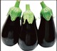 BLACK PEARL F1 - BIO