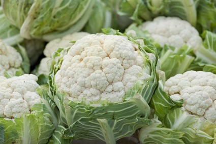FLORA BLANCA BIO