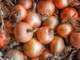 YELLOW SWEET SPANISH - BIO RP