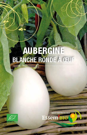 BLANCHE RONDE A OEUF - BIO