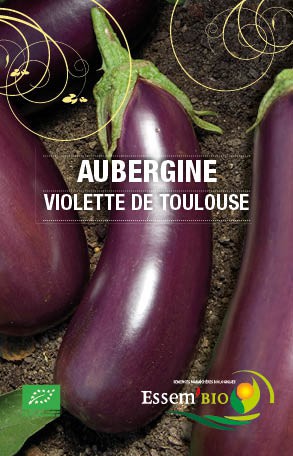 VIOLETTE DE TOULOUSE - BIO