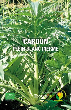 CARDON PLEIN BLANC INERME - BIO