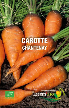 CHANTENAY - BIO