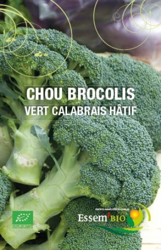 Semence Chou-brocoli VERT CALABRAIS HATIF - BIO