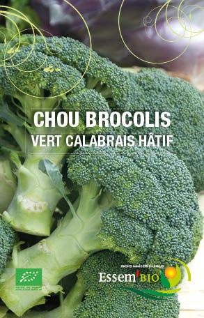 VERT CALABRAIS HATIF - BIO