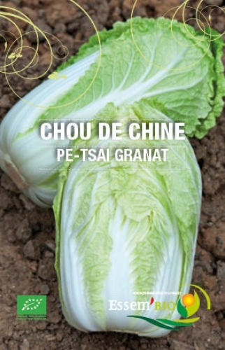Semence Chou-fleur / brocolis / de chine/ de bruxelles/ rutabaga PE-TSAI GRANAT - BIO