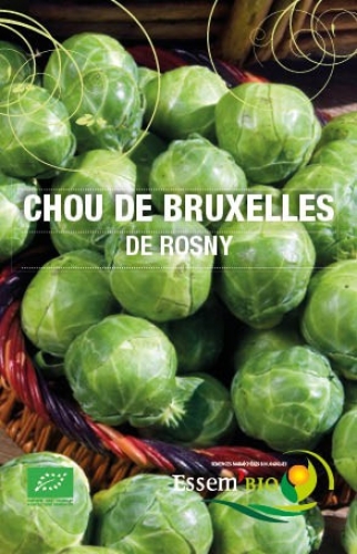 Semence Chou-fleur / brocolis / de chine/ de bruxelles/ rutabaga DE ROSNY - BIO