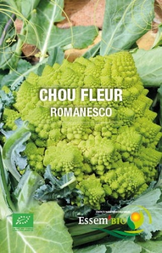 Semence Chou-fleur / brocolis / de chine/ de bruxelles/ rutabaga ROMANESCO - BIO