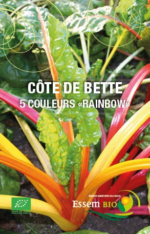 5 COULEURS