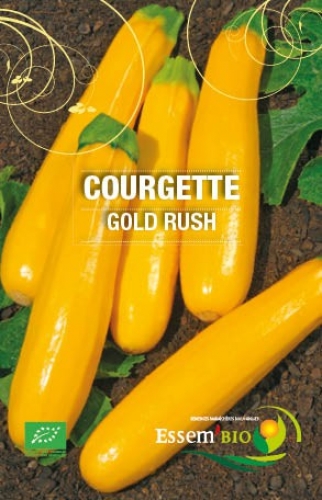 Semence Courgettes GOLD RUSH - BIO