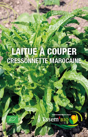 CRESSONETTE MAROCAINE - BIO