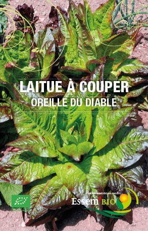 OREILLES DU DIABLE - BIO