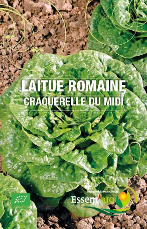 CRAQUERELLE DU MIDI - BIO