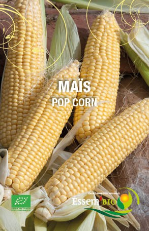 POP CORN - BIO