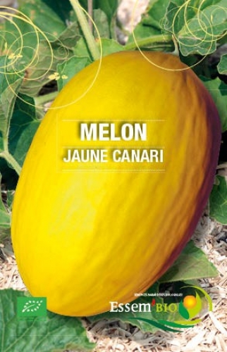 Semence Melons JAUNE CANARI  - BIO