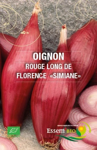 Semence Oignons ROUGE LONG DE FLORENCE  - BIO
