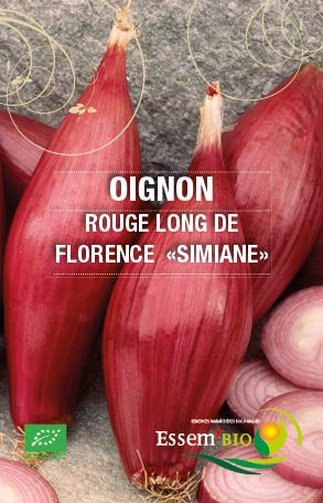 ROUGE LONG DE FLORENCE