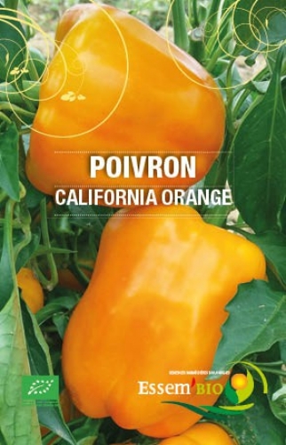 Semence Poivrons CALIFORNIA ORANGE - BIO