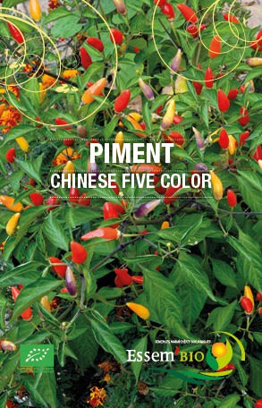 CHINESE FIVE COLOR - BIO