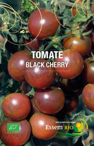 Semence Tomates BLACK CHERRY - BIO