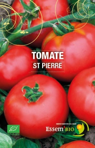 Semence Tomates SAINT PIERRE - BIO
